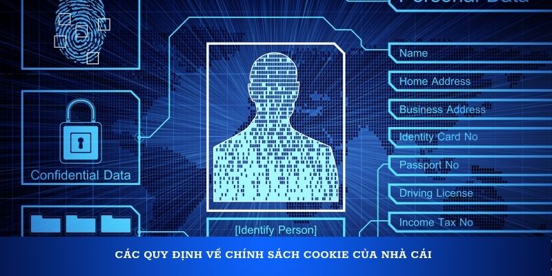 Các quy định về chính sách Cookie của nhà cái